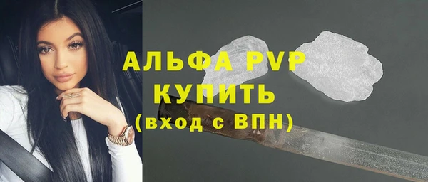 эйфоретик Гусев